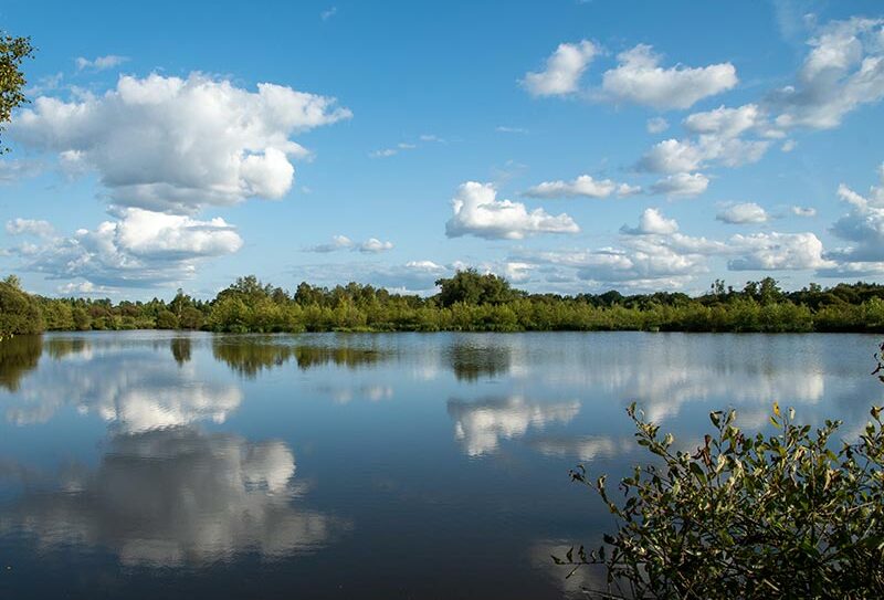Marais du Grand Hazé