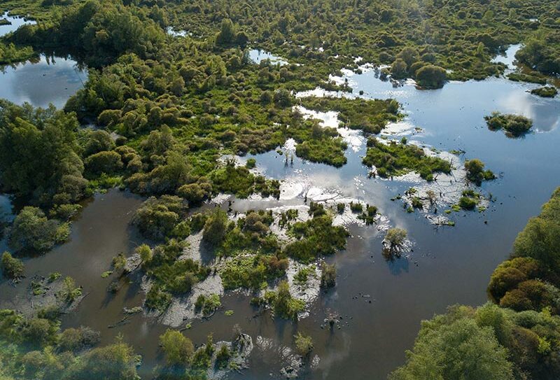 Marais du Grand Hazé