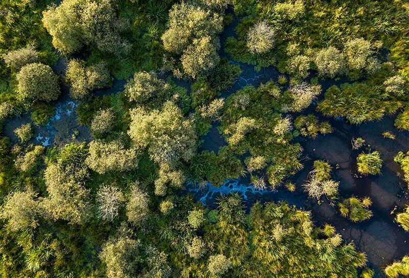 Marais du Grand Hazé