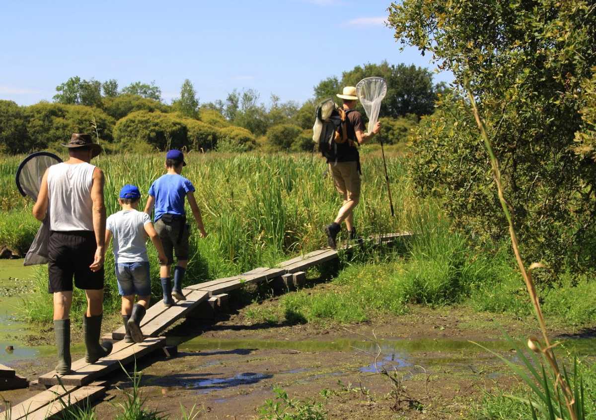 Public sur pilotis dans le marais du grand Hazé