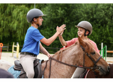 Club hippique de Flers