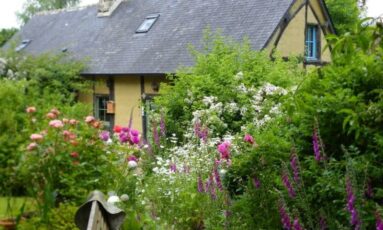 Gîte La Bergerie - Rugosa