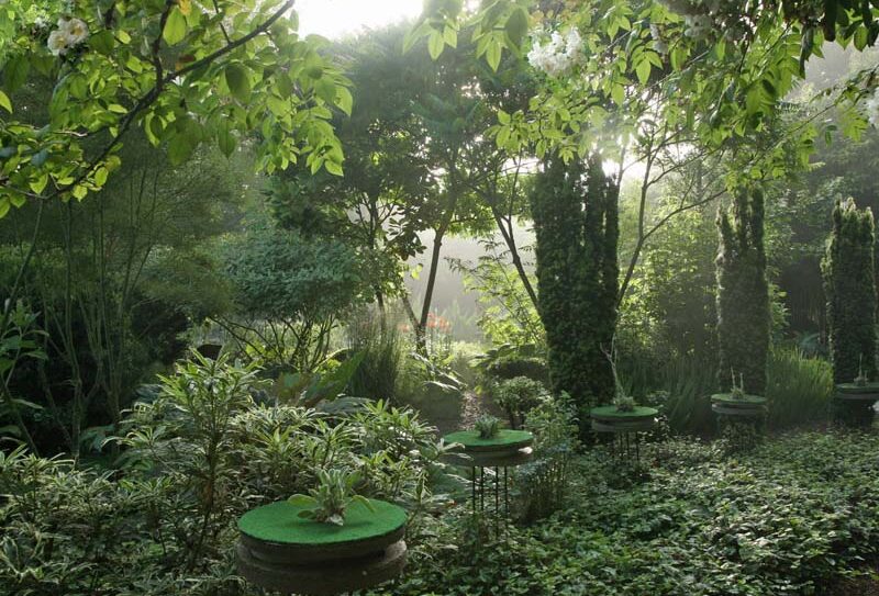 Jardin Intérieur à ciel ouvert – Athis de l&rsquo;Orne