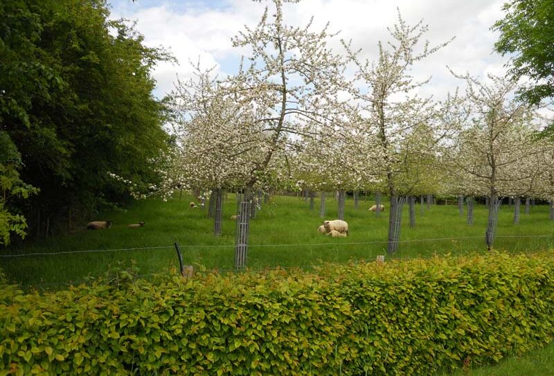 Bagnoles de Pom – Bagnoles de l&rsquo;Orne