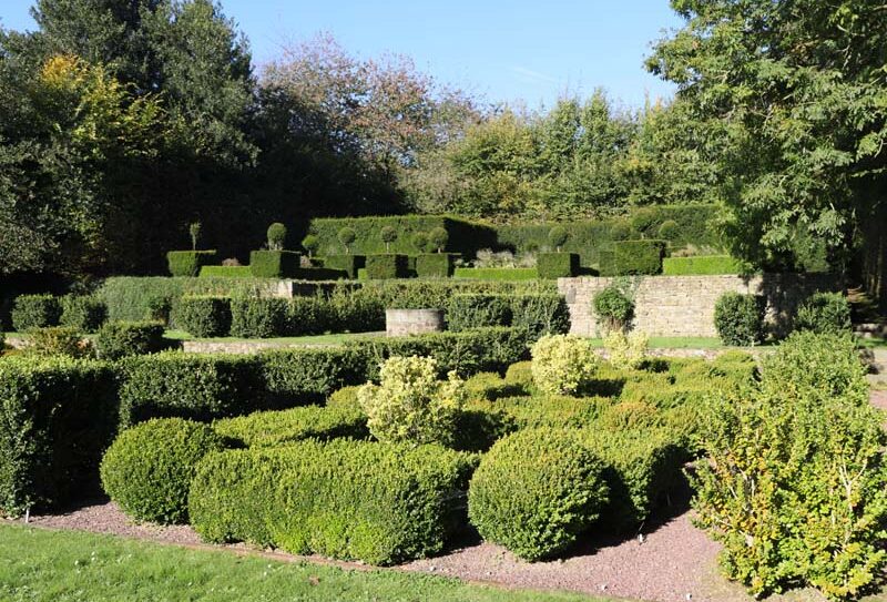 jardin3