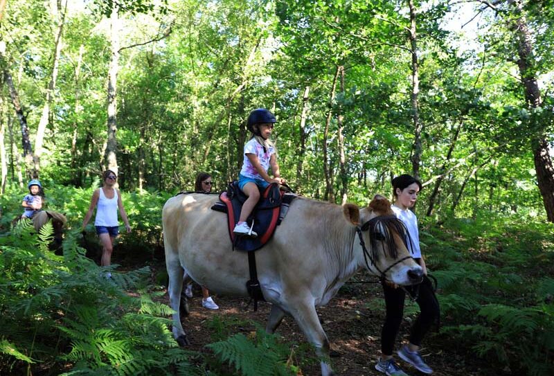 4 Pat&rsquo;Balad – St Philbert sur Orne