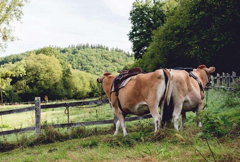 4 Pat&rsquo;Balad – St Philbert sur Orne