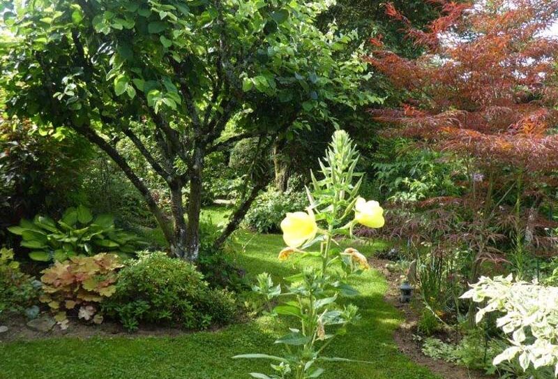 jardin-bleuenn-800