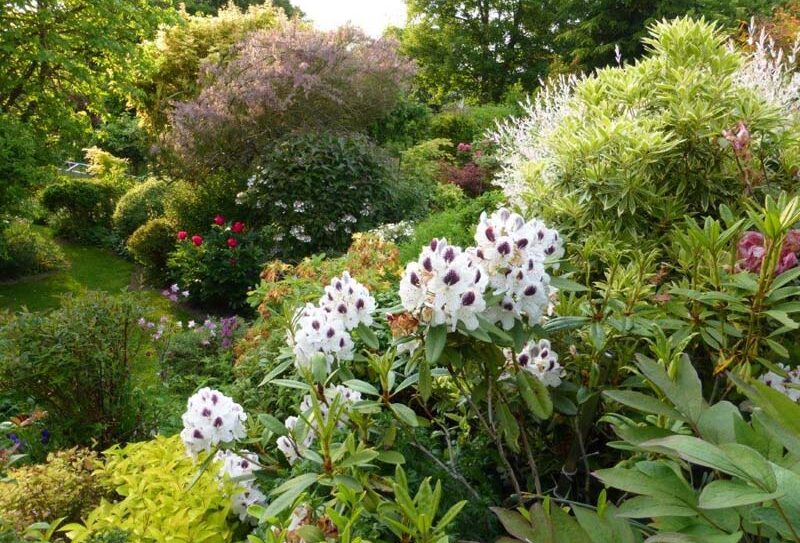 jardin-bleuenn-801