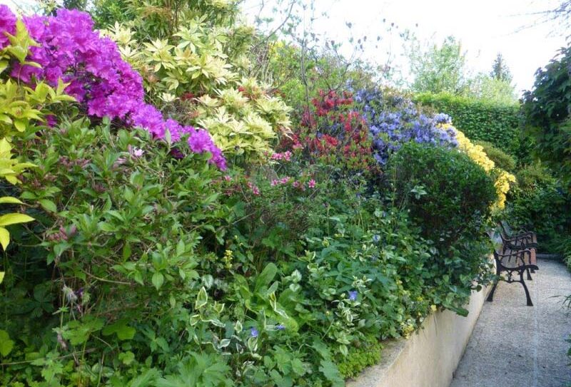 jardin-bleuenn-802
