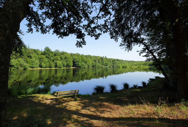 Etang-de-la-Lande-Foret-C1