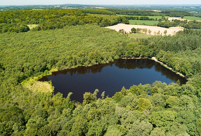 Etang-de-la-Lande-Foret-C2