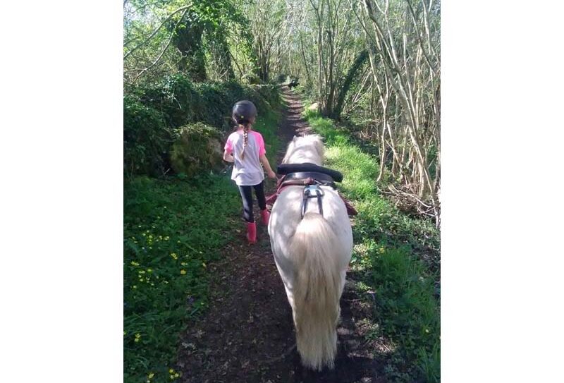 Bagot&rsquo;s Ranch – Bréel