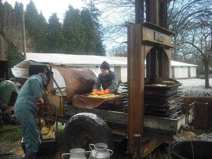 ferme de la ribardiere cidre athis de l&rsquo;orne