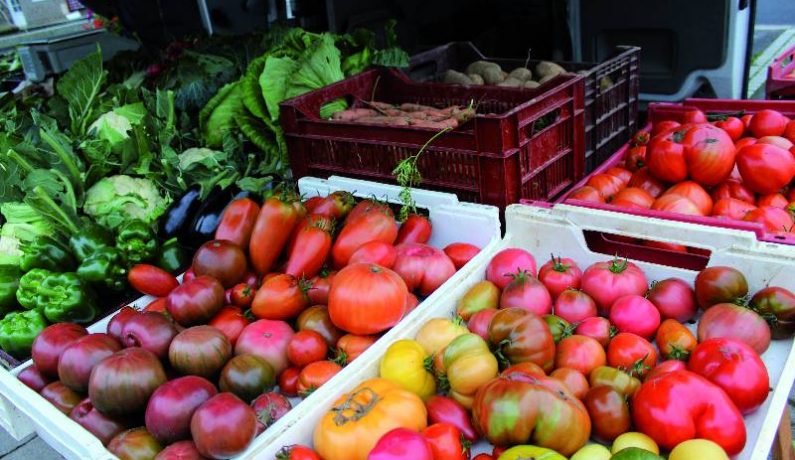 Tomates, maraicher sur le marché d'Athis-de-l'Orne