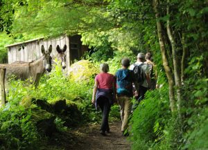 Tous en forêt le 27 septembre au départ de l'Etoile d'Andaines