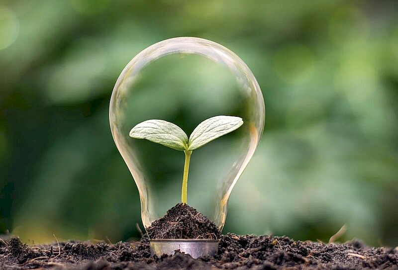 illustration low tech FRB (4)