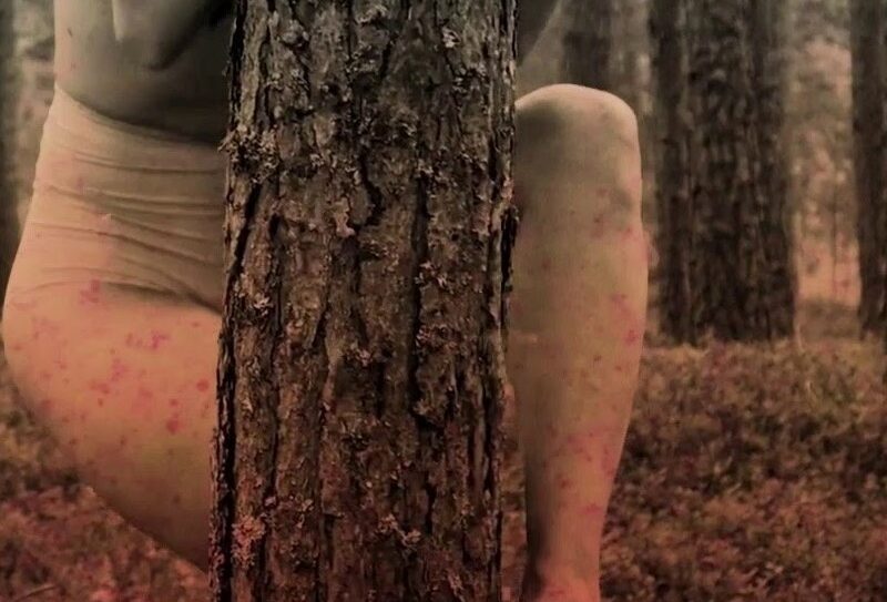 Isabel Pérez del Pulgar 800