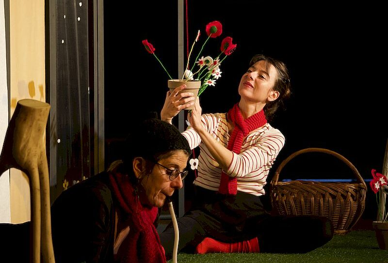 Petite pousse d&rsquo;intérieur 2