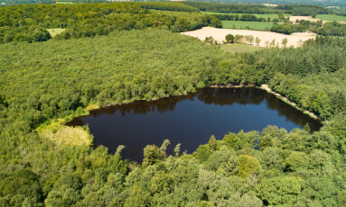 Balade nature / Portes ouvertes à l'étang de la Lande Forêt