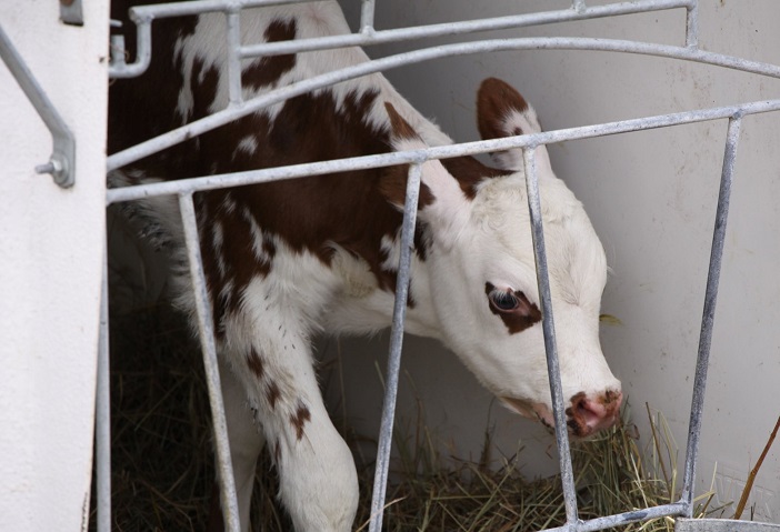 39001866_1143705449114906_1450697050436927488_n