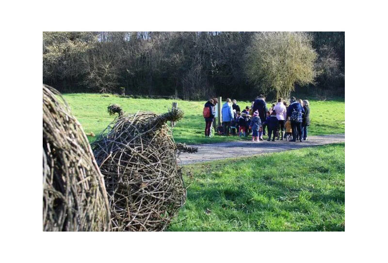 bricoleur de la nature800