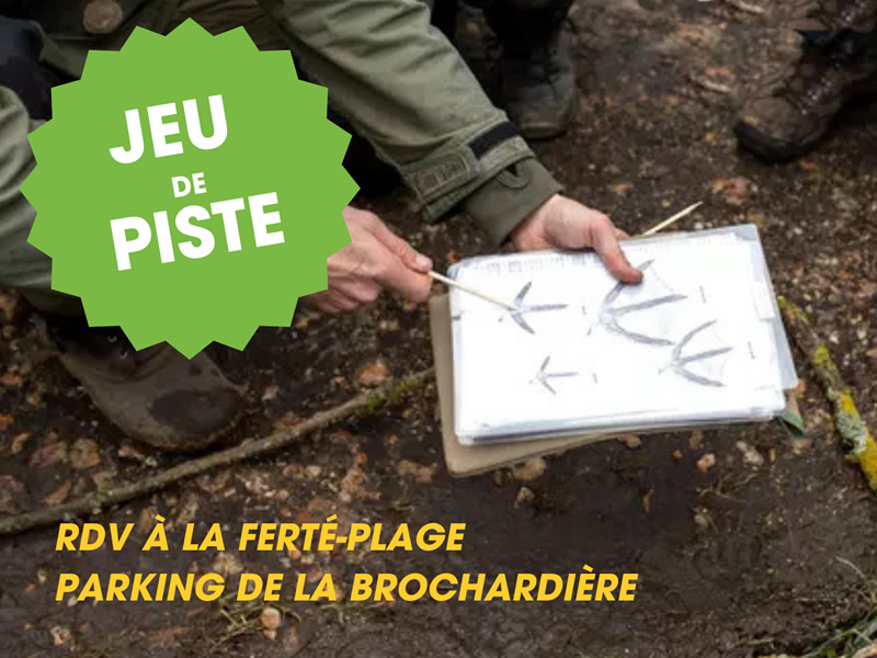 Jeu de piste "Sur la piste des traces et empreintes" - Montagnes de ...