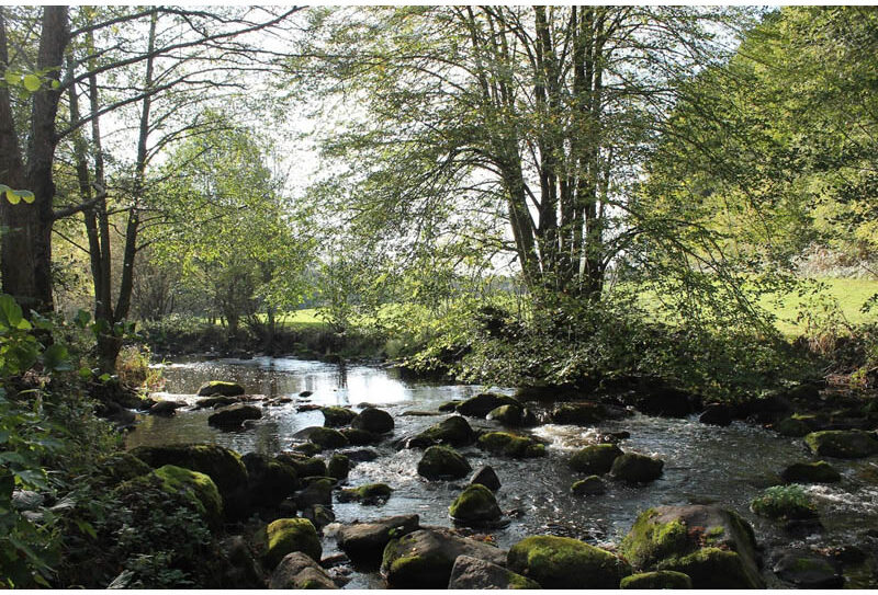 SecretRiviere-CPIECollinesNormandes800-2