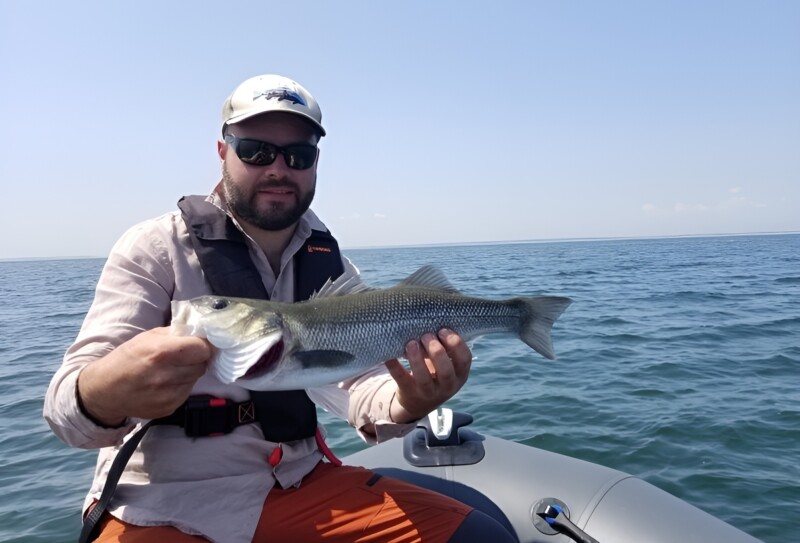 Poisson pêche en mer