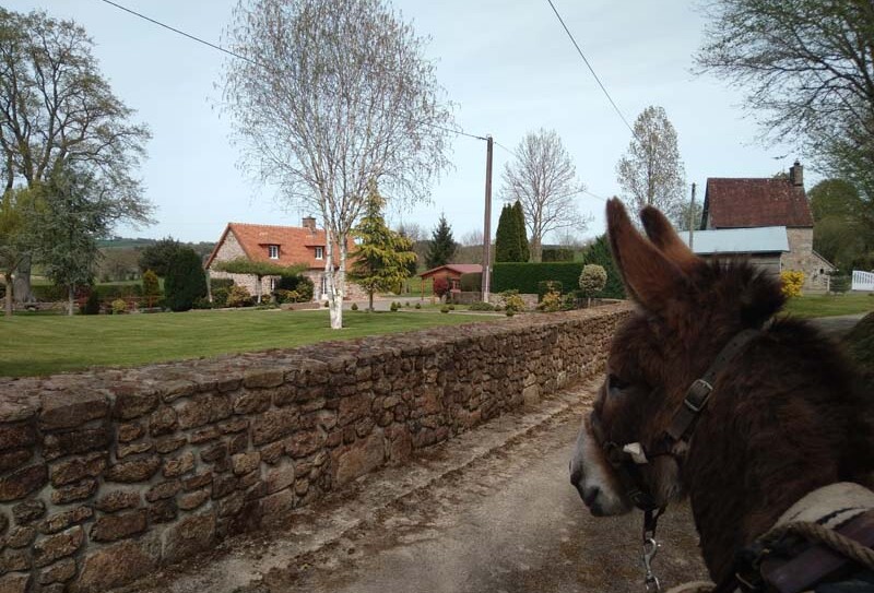 Fief des ânes – Ste Honorine la Chardonne