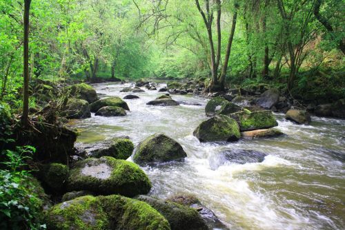 CONTES au fil de leau 800