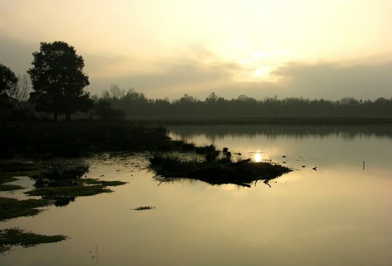 ContesEtLegendesMarais-CPIECollinesNormandes800