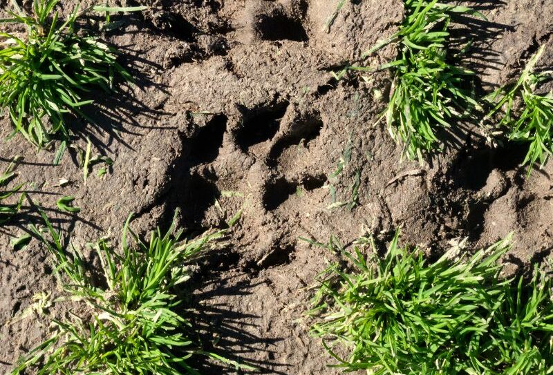 Briouze tourinsoft (800 x 600 px) – Jeu de piste