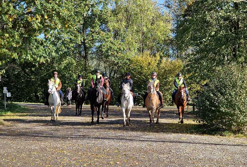 centreéquestrelalys