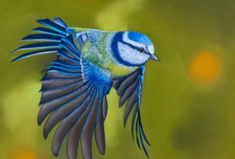 Briouze tourinsoft (800 x 600 px) – expo Antonio Gomes