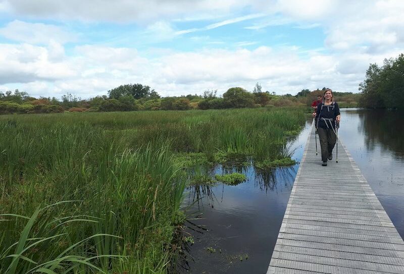 Découverte-du-marais-MGH-2