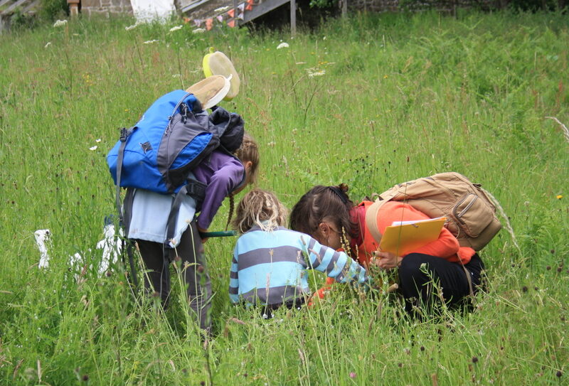 chasse-aux-tresors 800