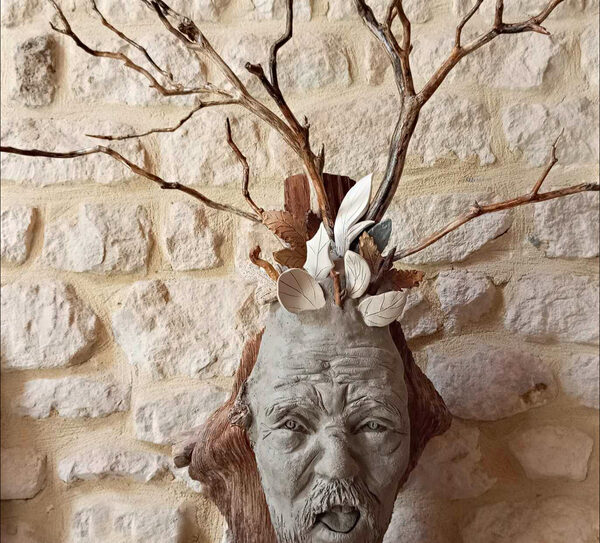 Arbre climato-non-sceptique. Béatrice Chauvet 800