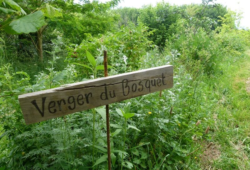 Verger du Bosquet