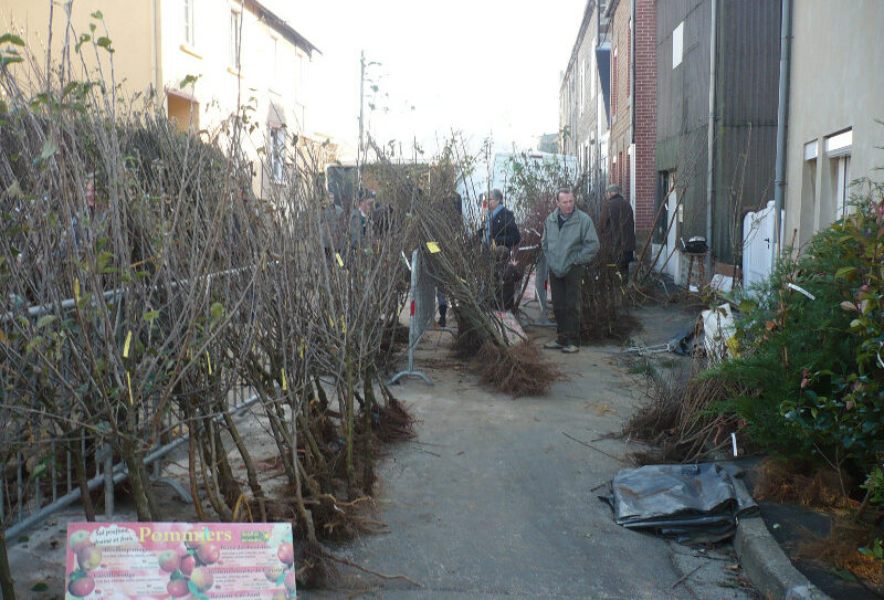 Foire de la Sainte-Catherine