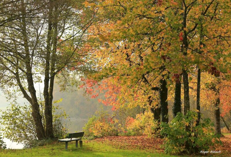 photos automne ©roger bidault.jpg800