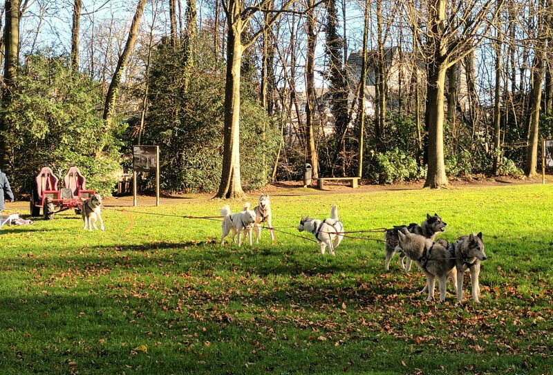 20231216_135047(1)(1)