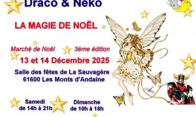 Marché de Noël de Draco & Neko
