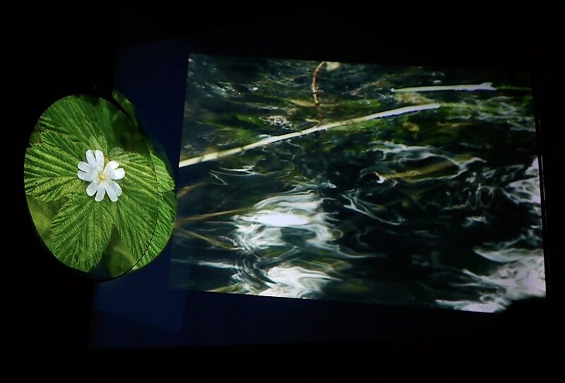 La cinquieme saison _mention_©Photo Annie dissaux 800