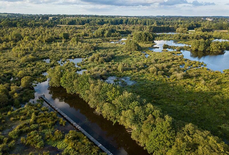 Marais du Grand Hazé