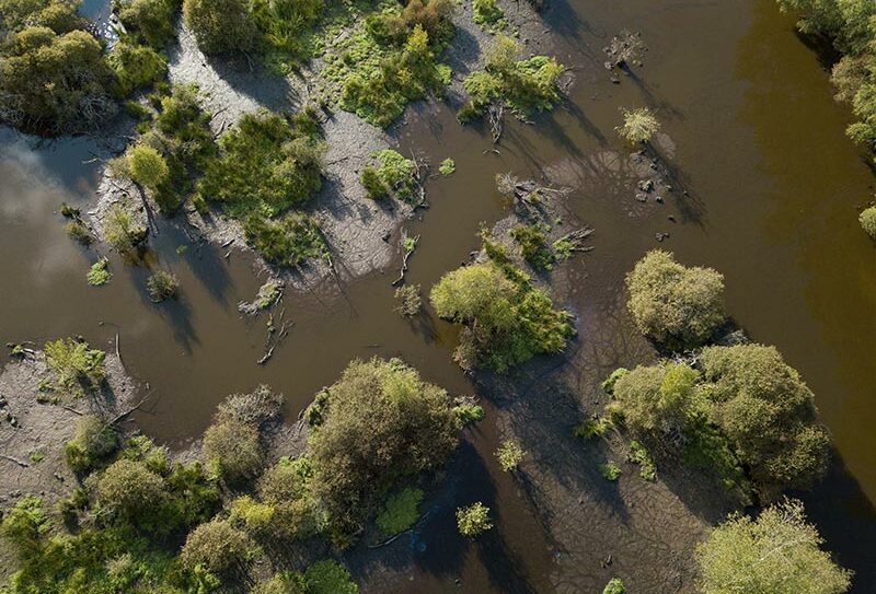 Marais du Grand Hazé