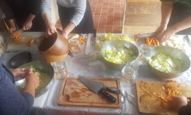 Atelier de lactofermentation