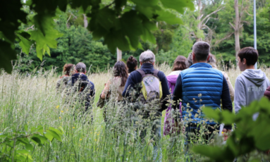 Balade botanique et poétique avec Flora Delalande