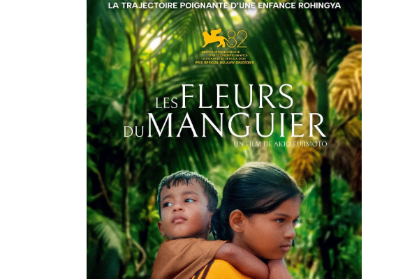 Les Fleurs du Manguier800
