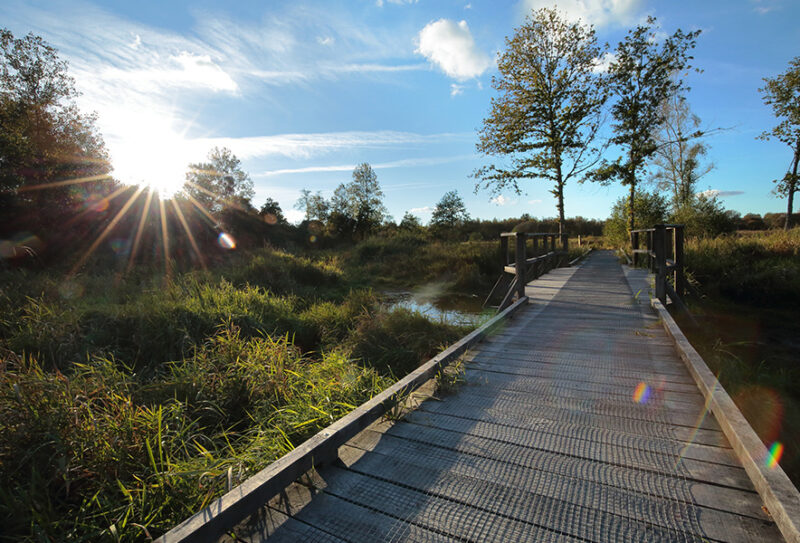 Marais du Grand Hazé